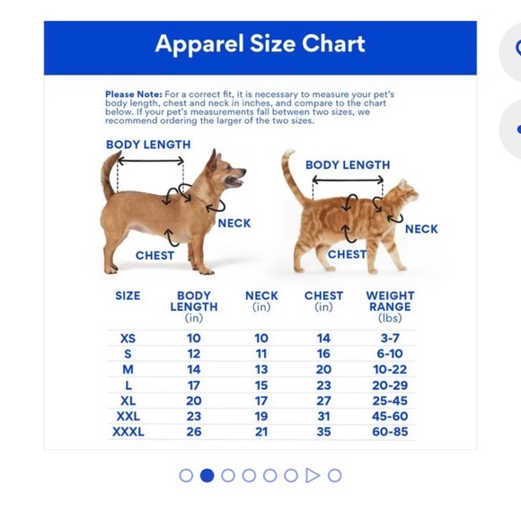 Disney X Chewy | Lightweight Flounder Print Dog & Cat Raincoat | Size Large - Picture 11 of 11